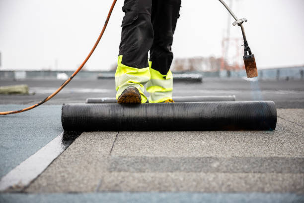 Roof Moss and Algae Removal